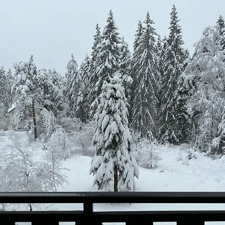 Gardens Funky Fresh By Joro Lejlighed